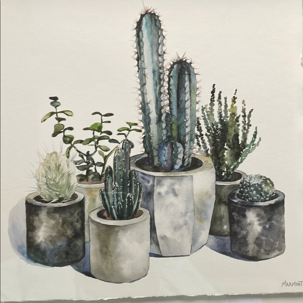 Framed Cactus Art Print - Picture 9 of 13